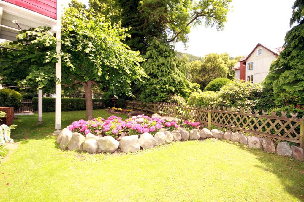 Villa Feise Bad Harzburg Værelse billede